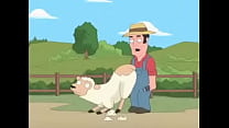 sheep shearing