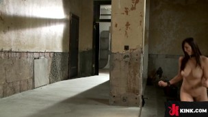 Lazy slut Holly Michaels has huge tits and a pretty little cum dumpster face. I make her run stairs,