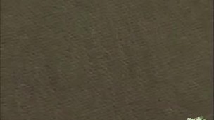 Before hardcore anal begins the brunette deepthroats him and gets her pussy stretched out passionate